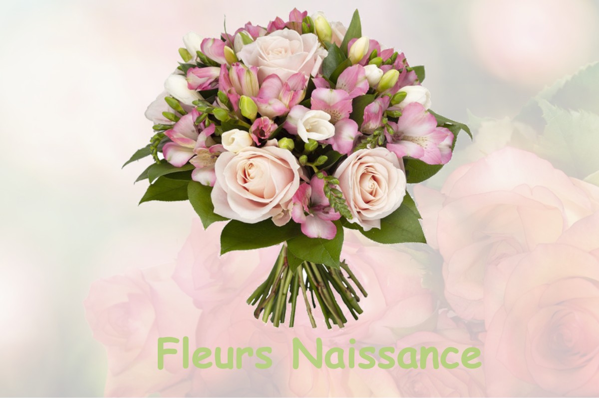 fleurs naissance FRENELLE-LA-GRANDE